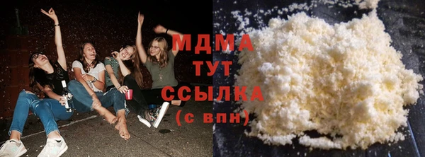 шишки Белокуриха