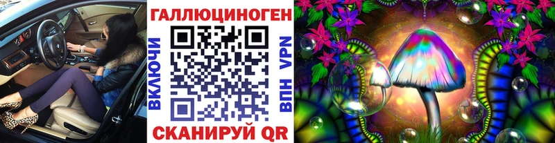 закладка  Волгореченск  Псилоцибиновые грибы Magic Shrooms 