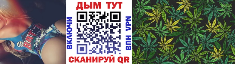 OMG   Волгореченск  Марихуана тримм 